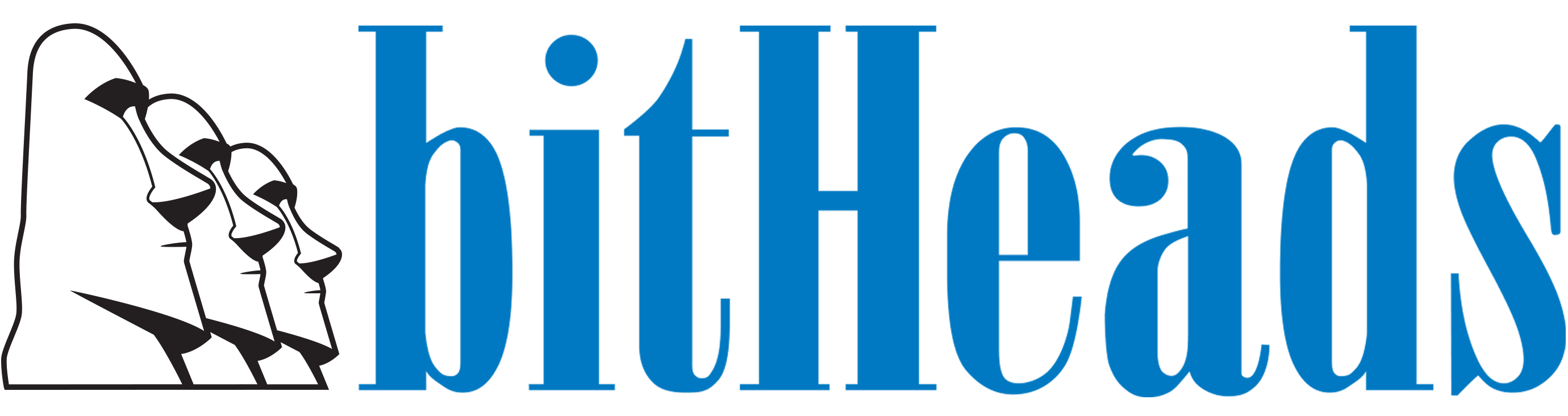 bitHeads, inc.